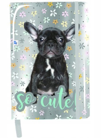 NOTES A5 PIESEK BULDOG HOLO PASO