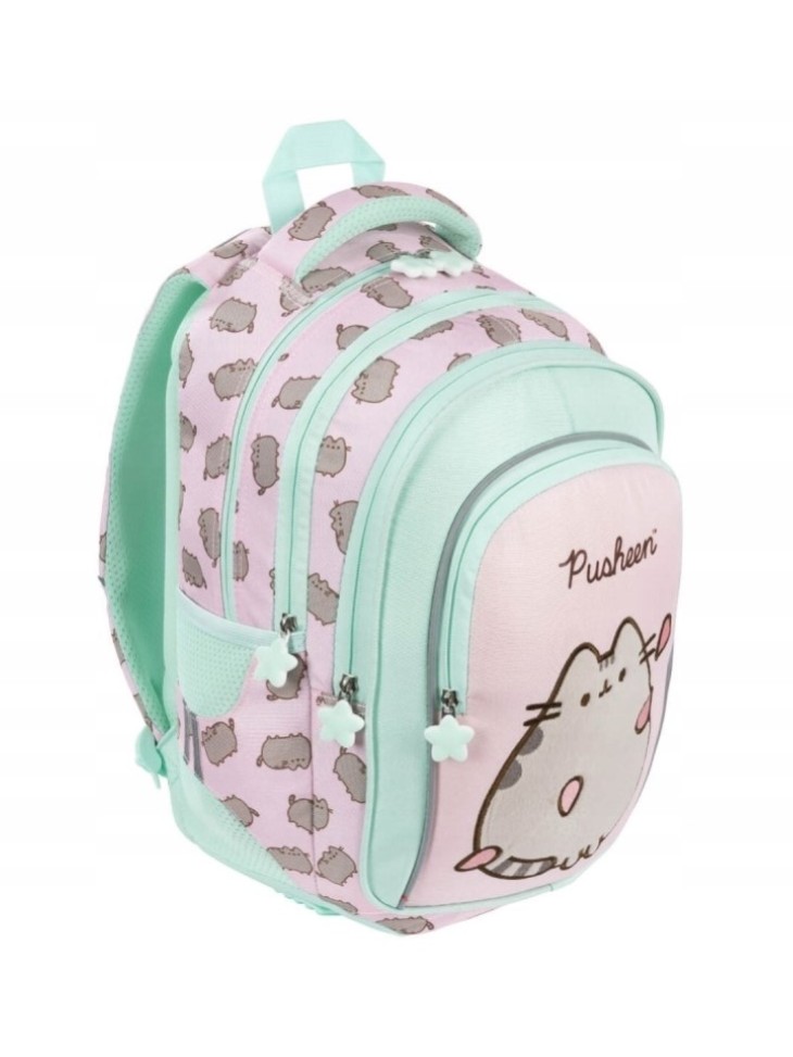 ZESTAW SZKOLNY 5-ELEMENTÓW PUSHEEN PINK ST. MAJEWSKI
