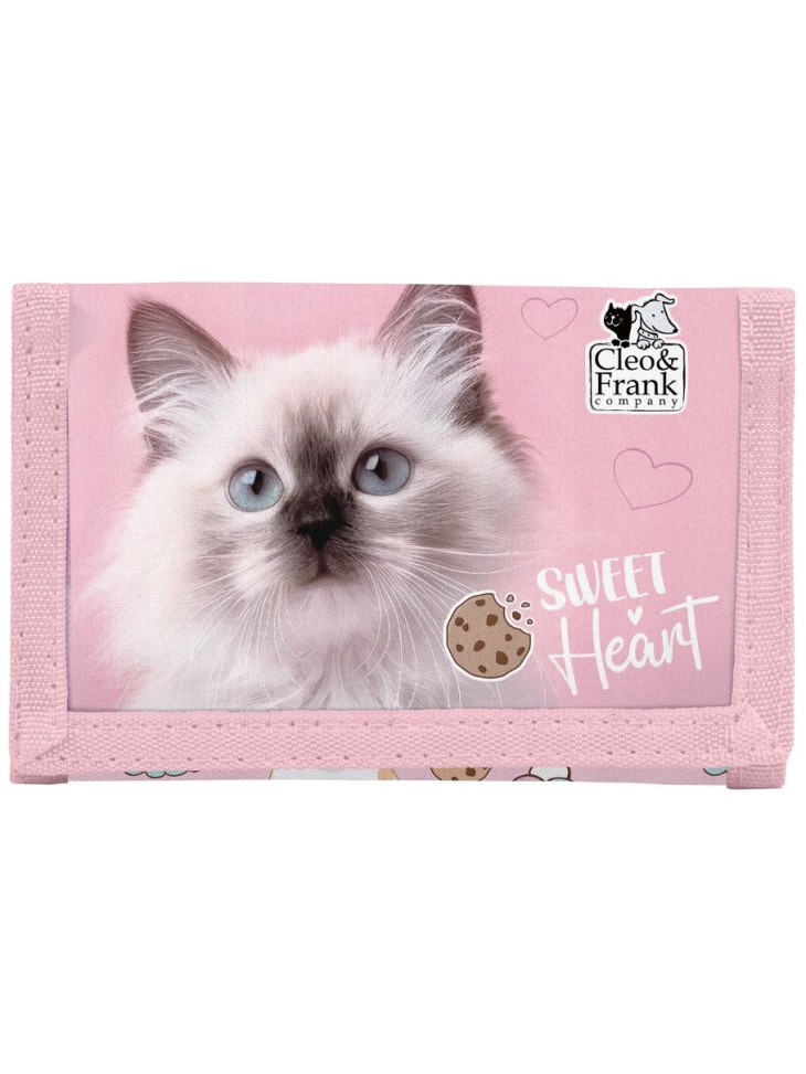 ZESTAW SZKOLNY 10-ELEMENTÓW CLEO&FRANK 45 KOTEK CAT DERFORM