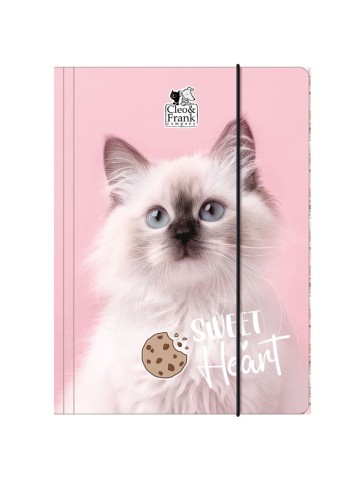 ZESTAW SZKOLNY 10-ELEMENTÓW CLEO&FRANK 45 KOTEK CAT DERFORM