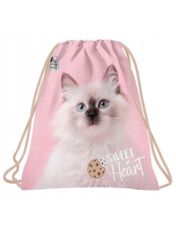 ZESTAW SZKOLNY 10-ELEMENTÓW CLEO&FRANK 45 KOTEK CAT DERFORM